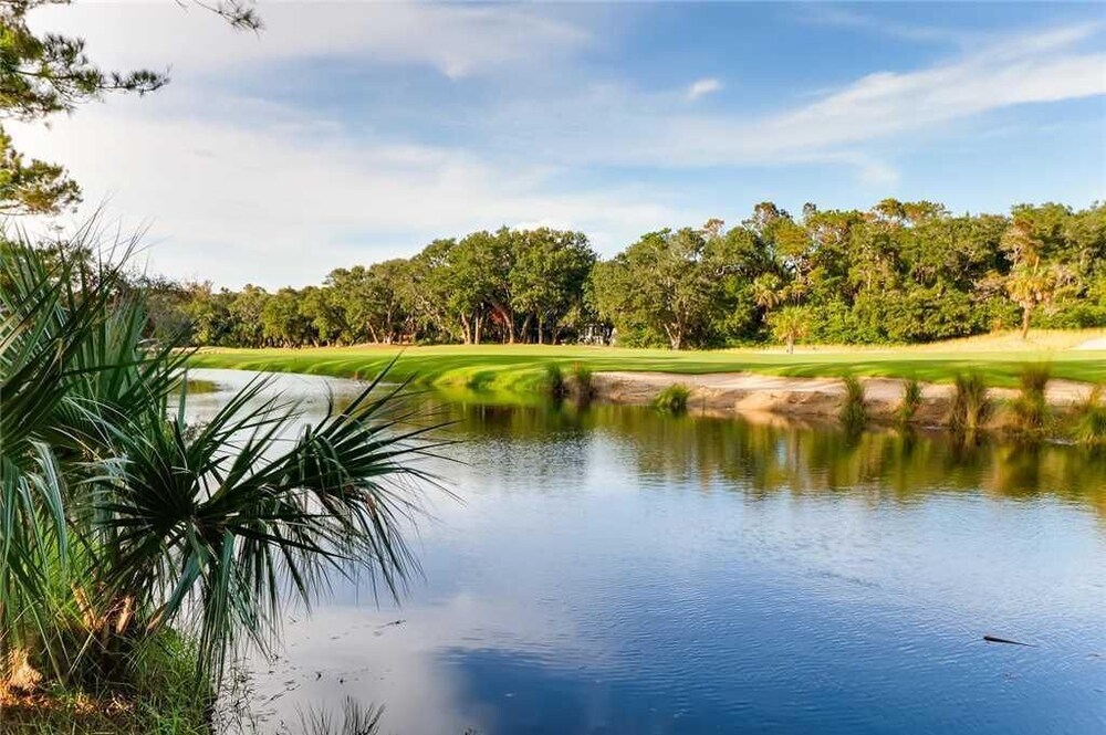 Watch the golfers play, quiet forest area, spacious home, BHI