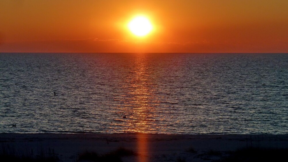 Beach Hugger 2 - Newly remodeled, charming beach front bungalow!