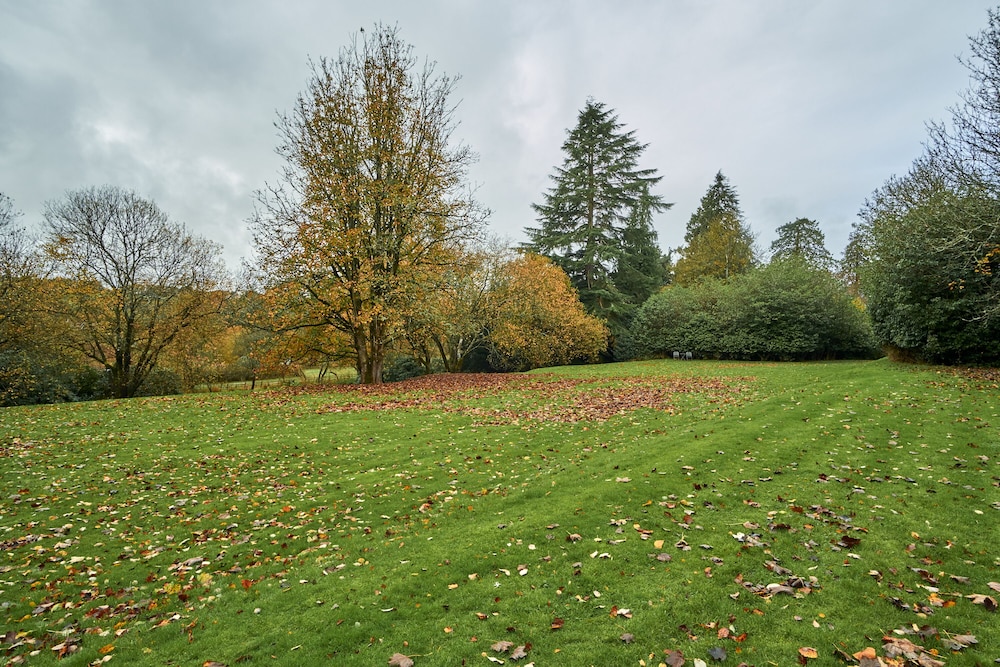 Charming 1-bed Lodge, Wood-burning Hot Tub