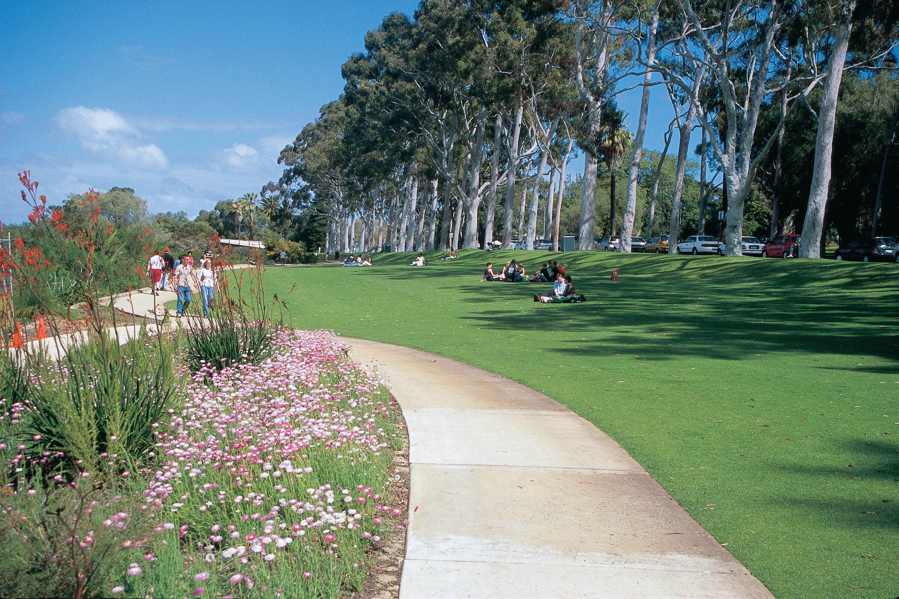 A Comfy 2BR Home, Top Location, Free Parking