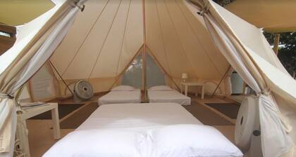 Pitahaya Glamping Retreat