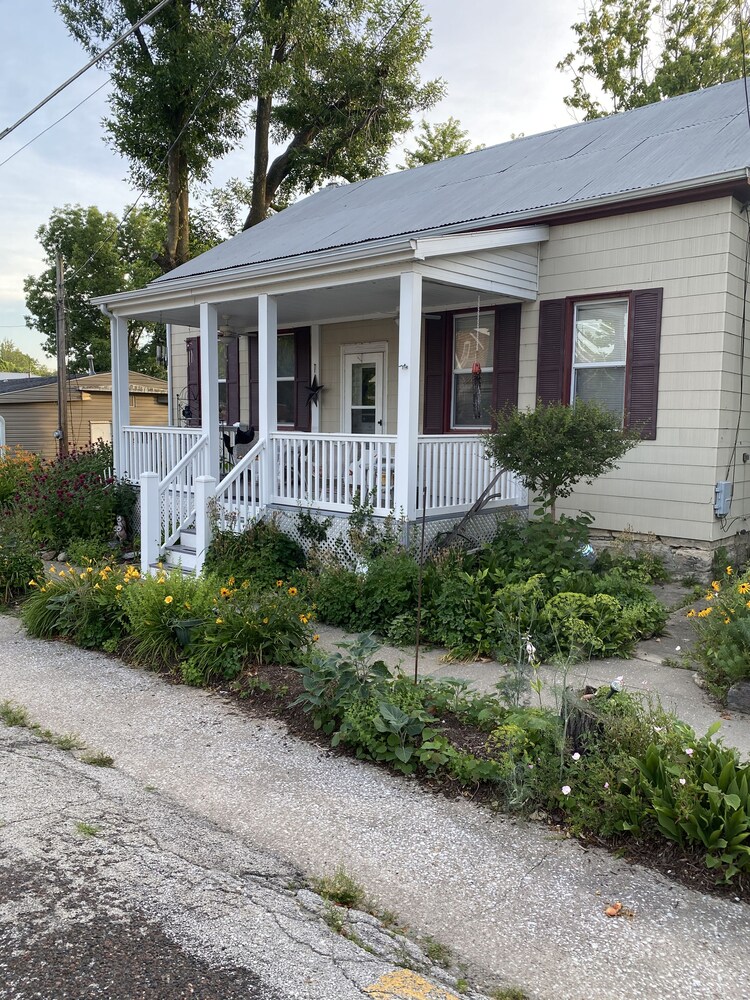 A beautiful flower 🌺 garden cottage🌺