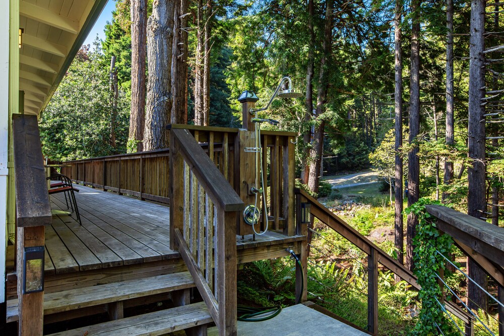 Vibrant, quiet paradise in the forest w/ a shared hot tub & views