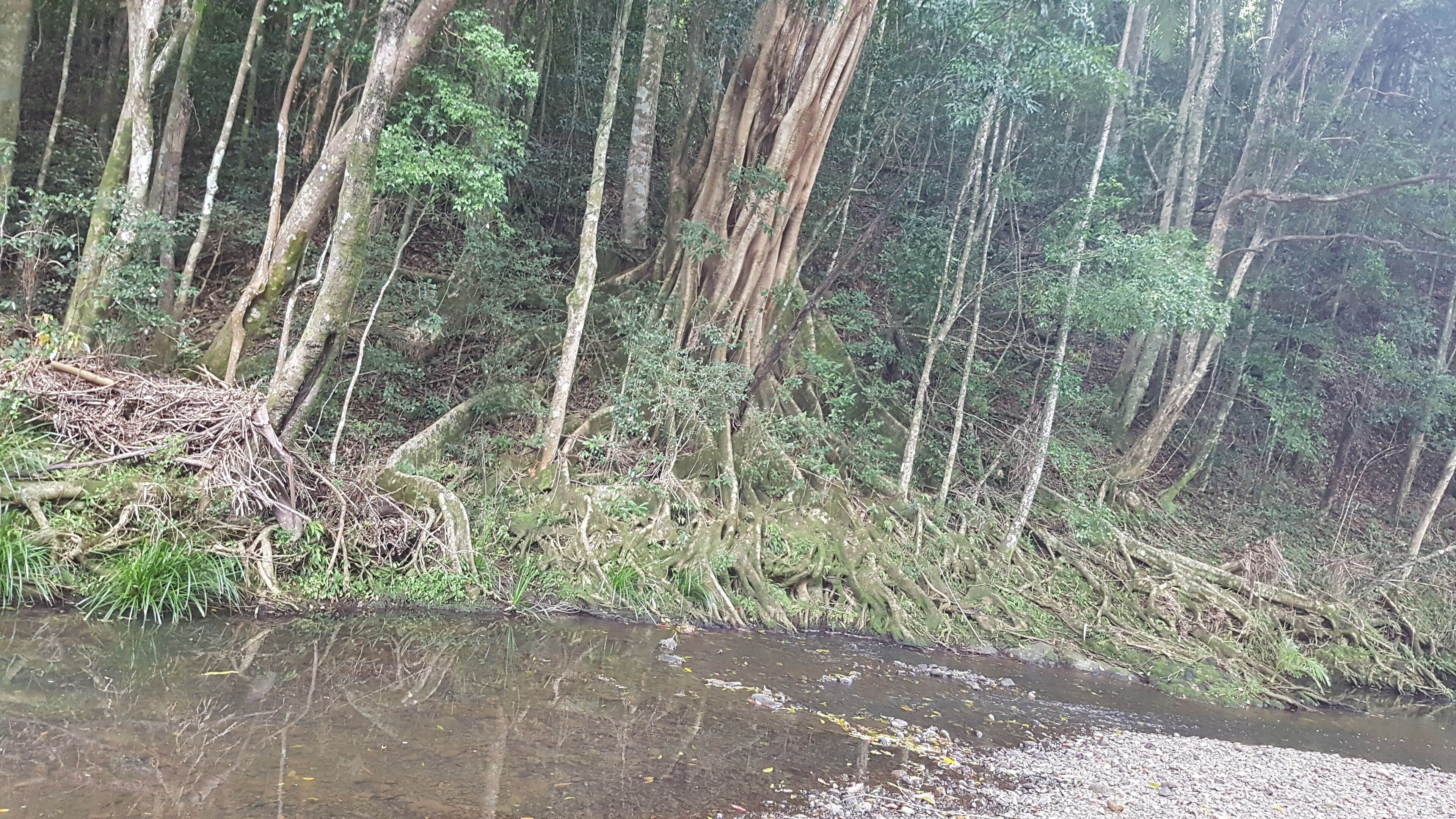 Stary Nights Luxury Camping