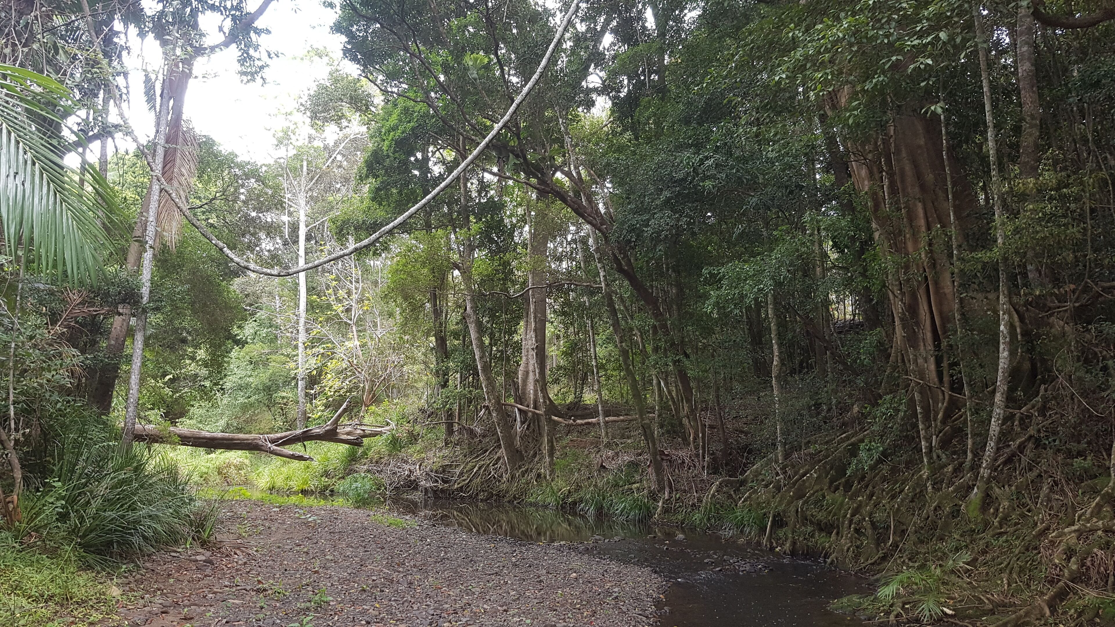 Stary Nights Luxury Camping