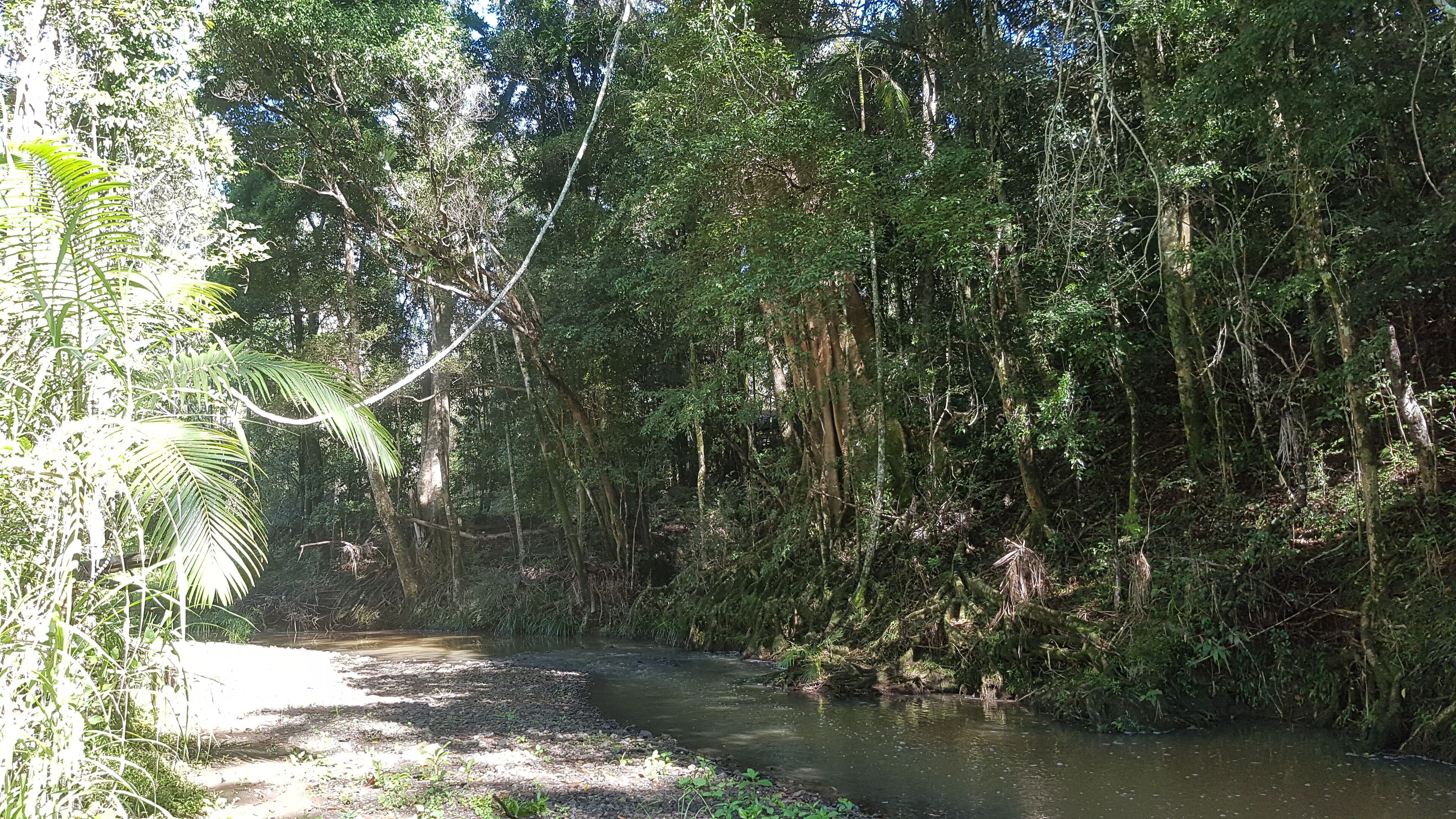 Stary Nights Luxury Camping