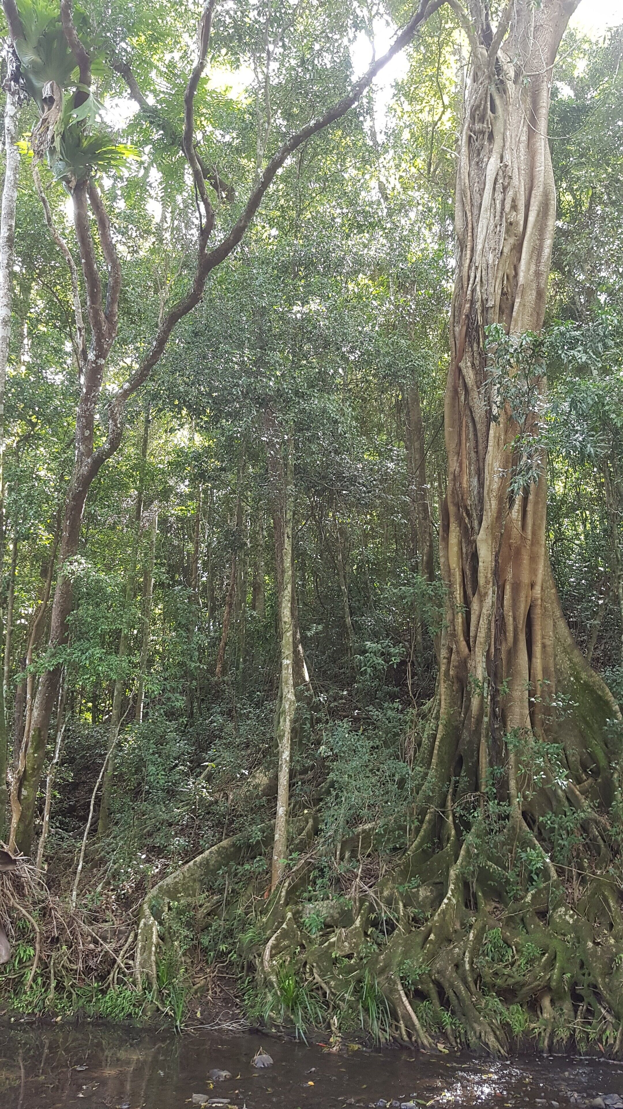 Stary Nights Luxury Camping