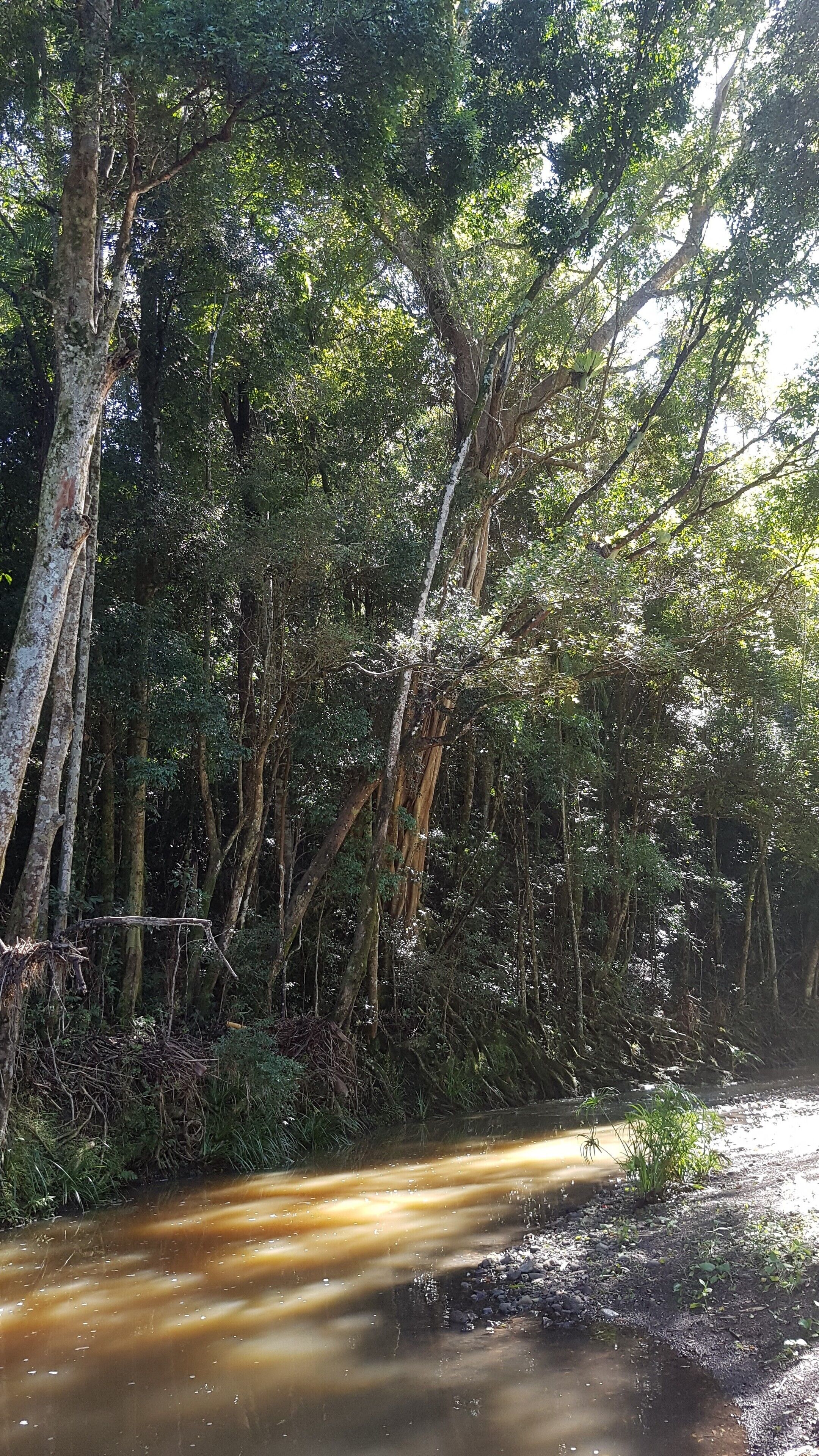 Stary Nights Luxury Camping