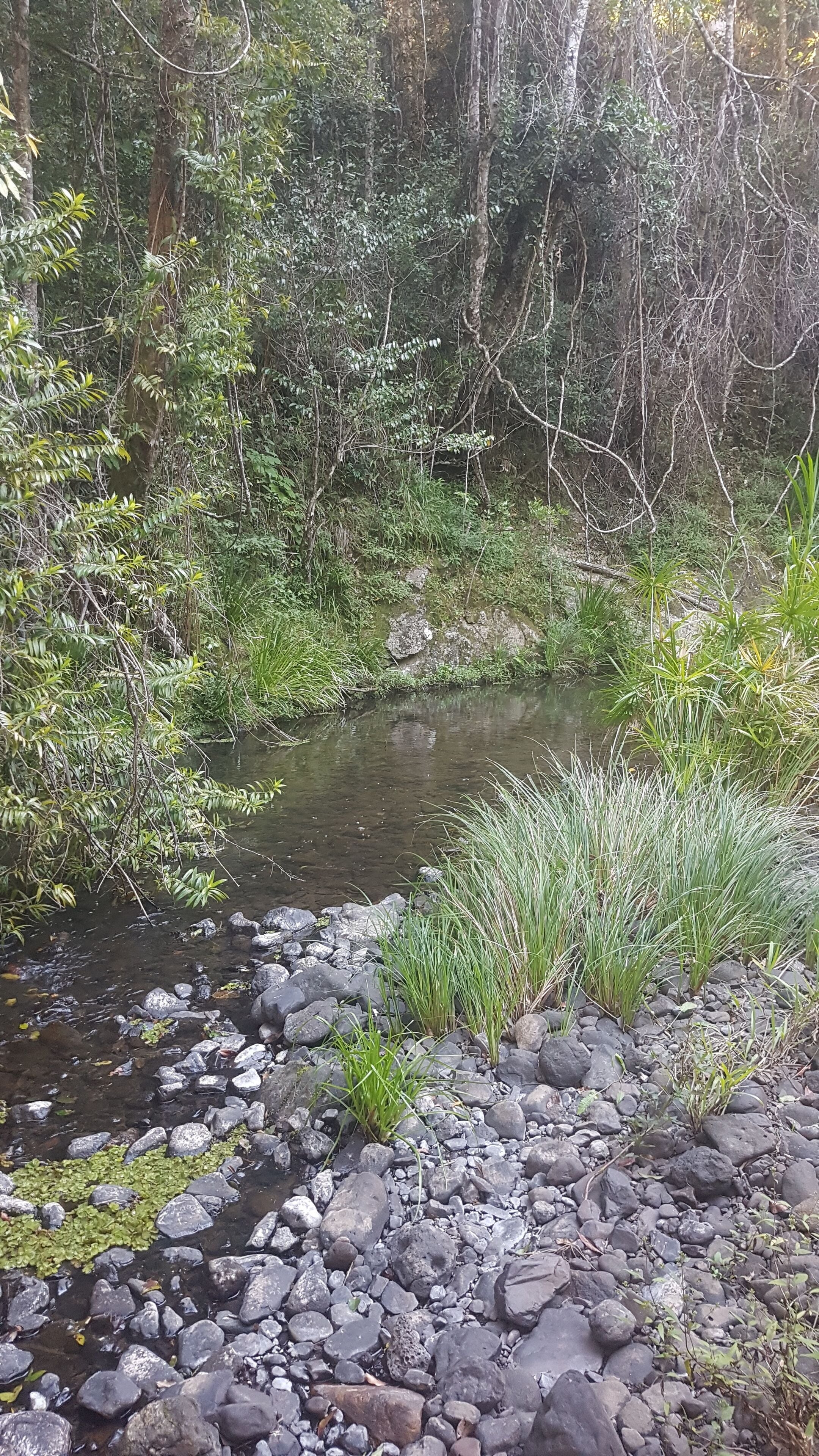 Stary Nights Luxury Camping