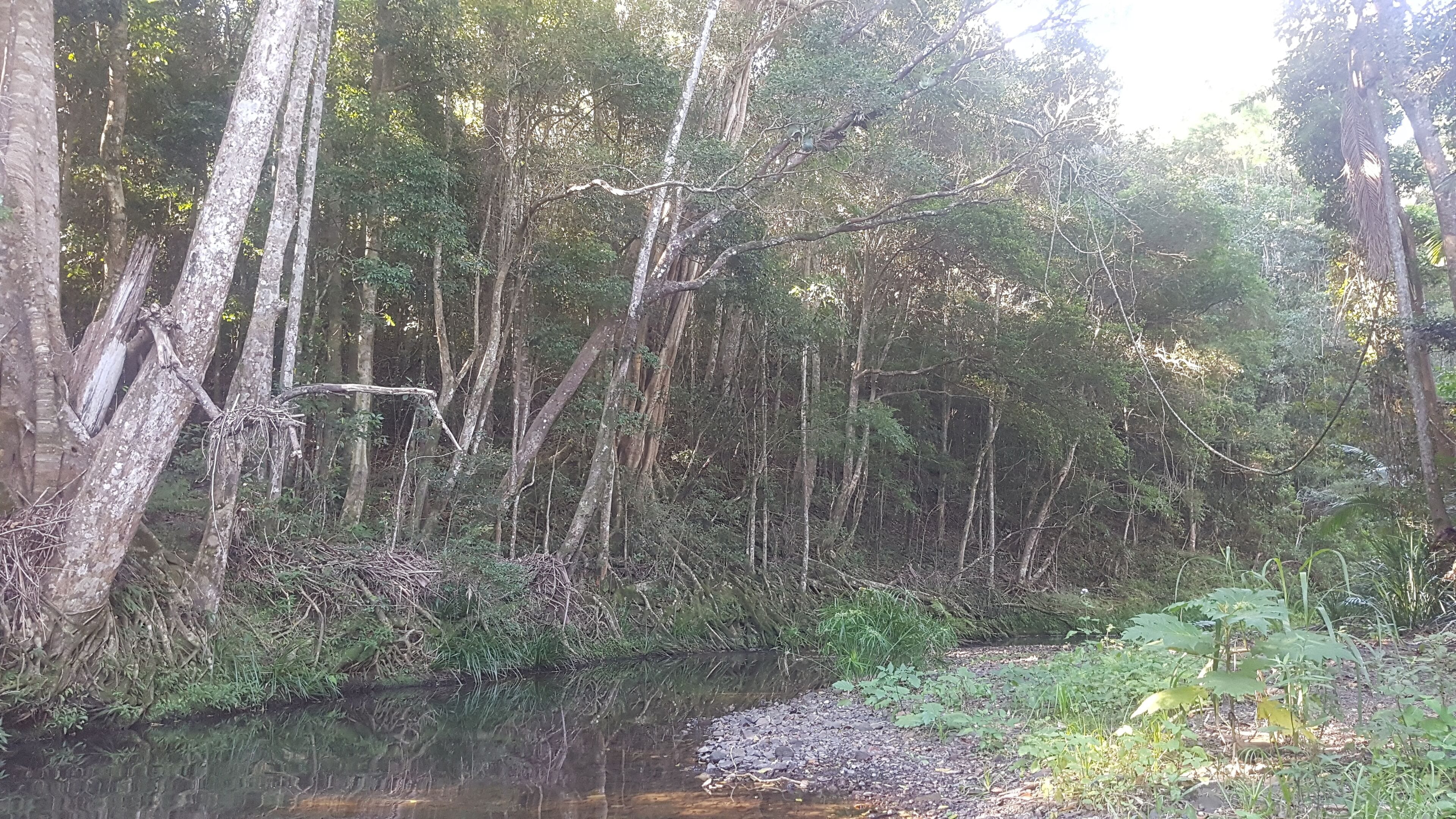 Stary Nights Luxury Camping