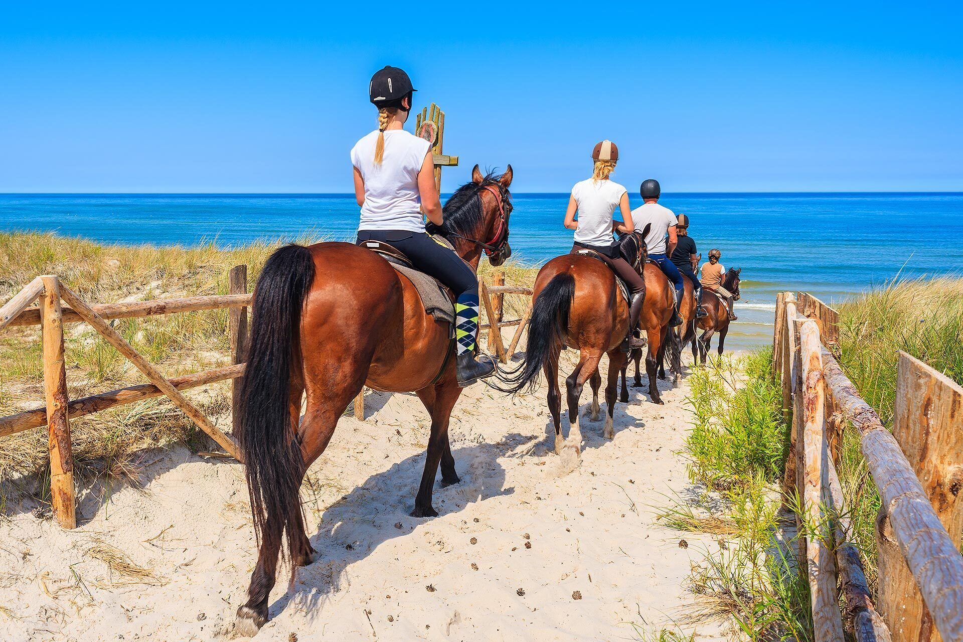 Stary Nights Luxury Camping