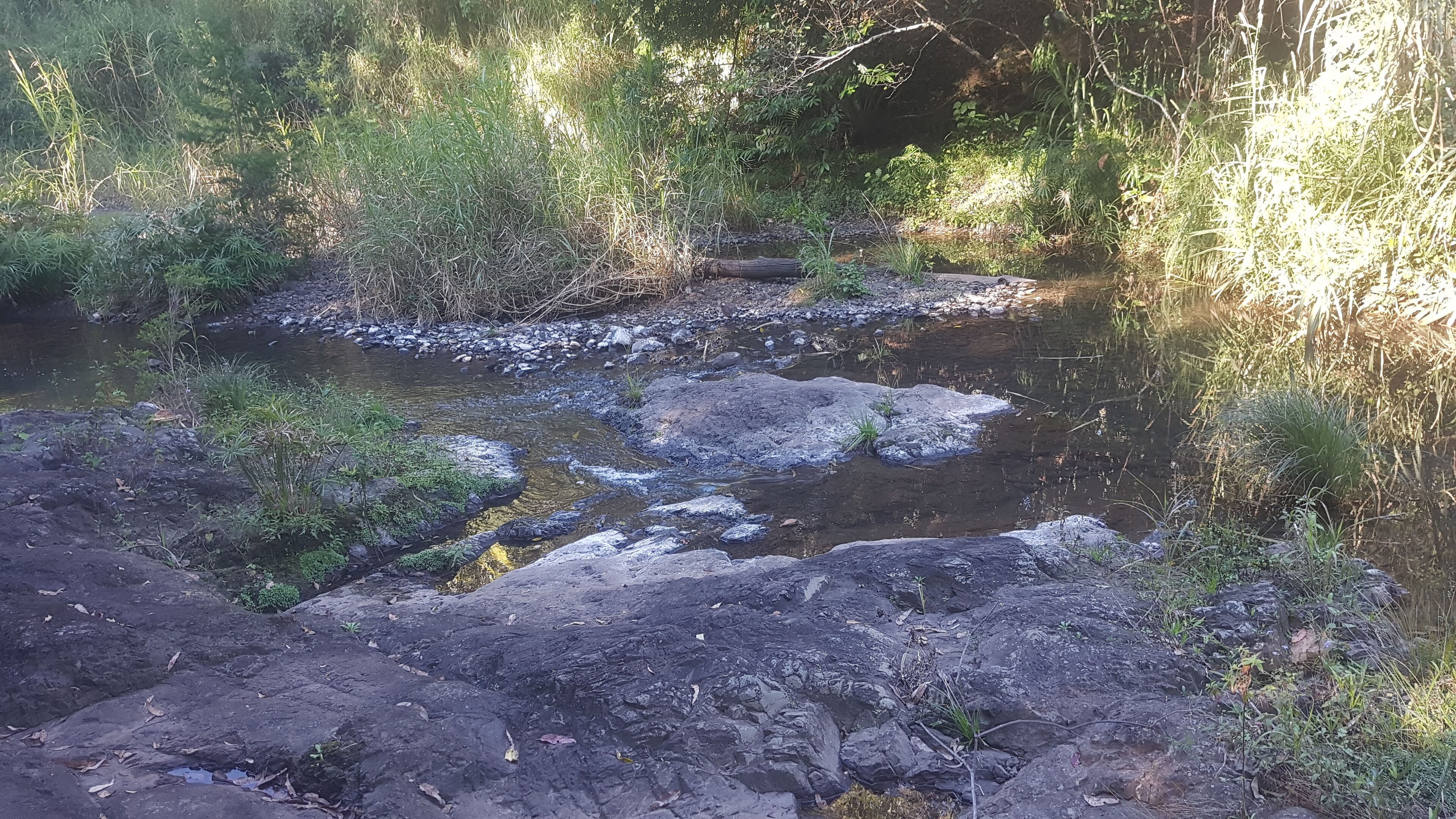 Stary Nights Luxury Camping