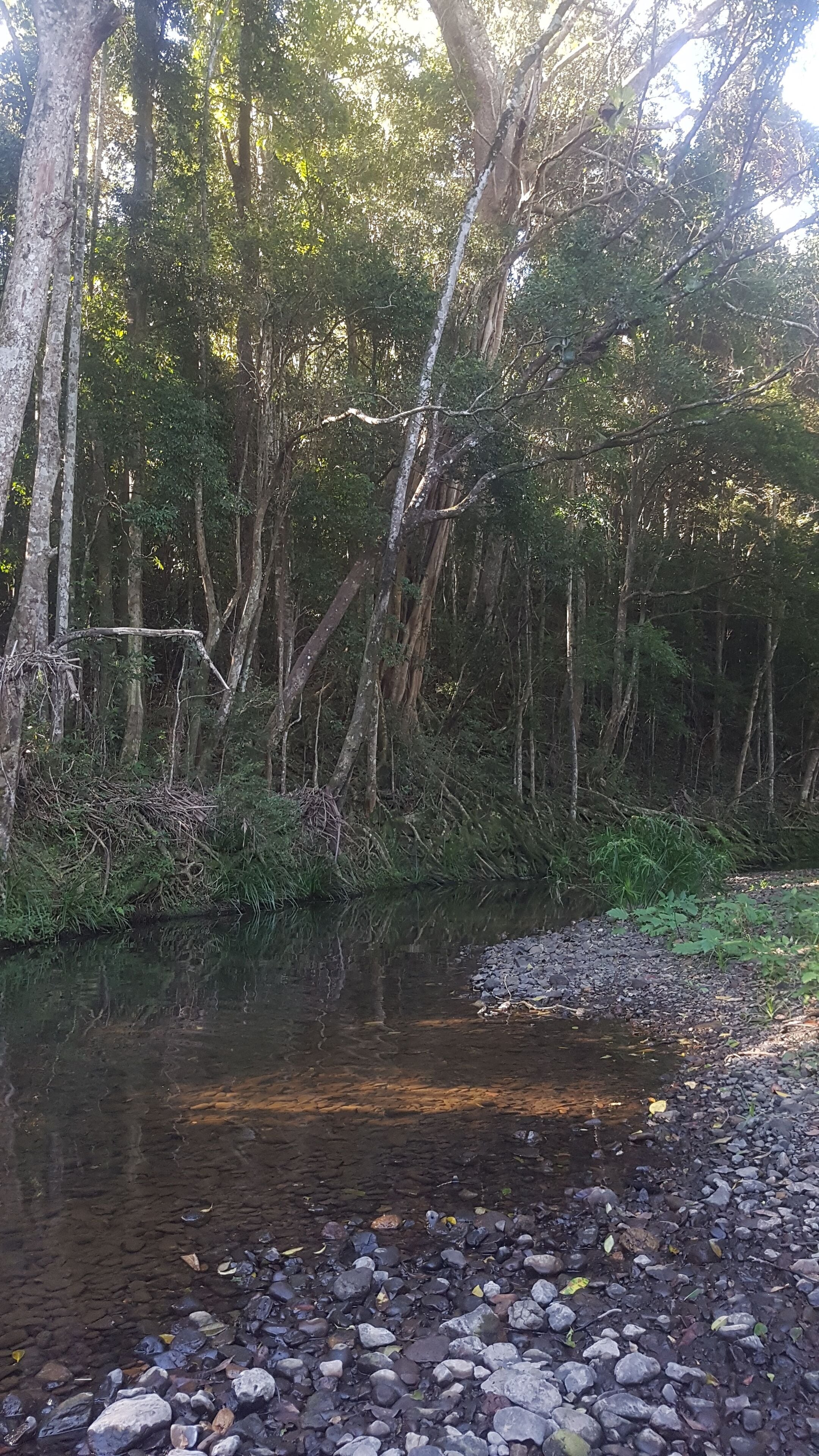 Stary Nights Luxury Camping