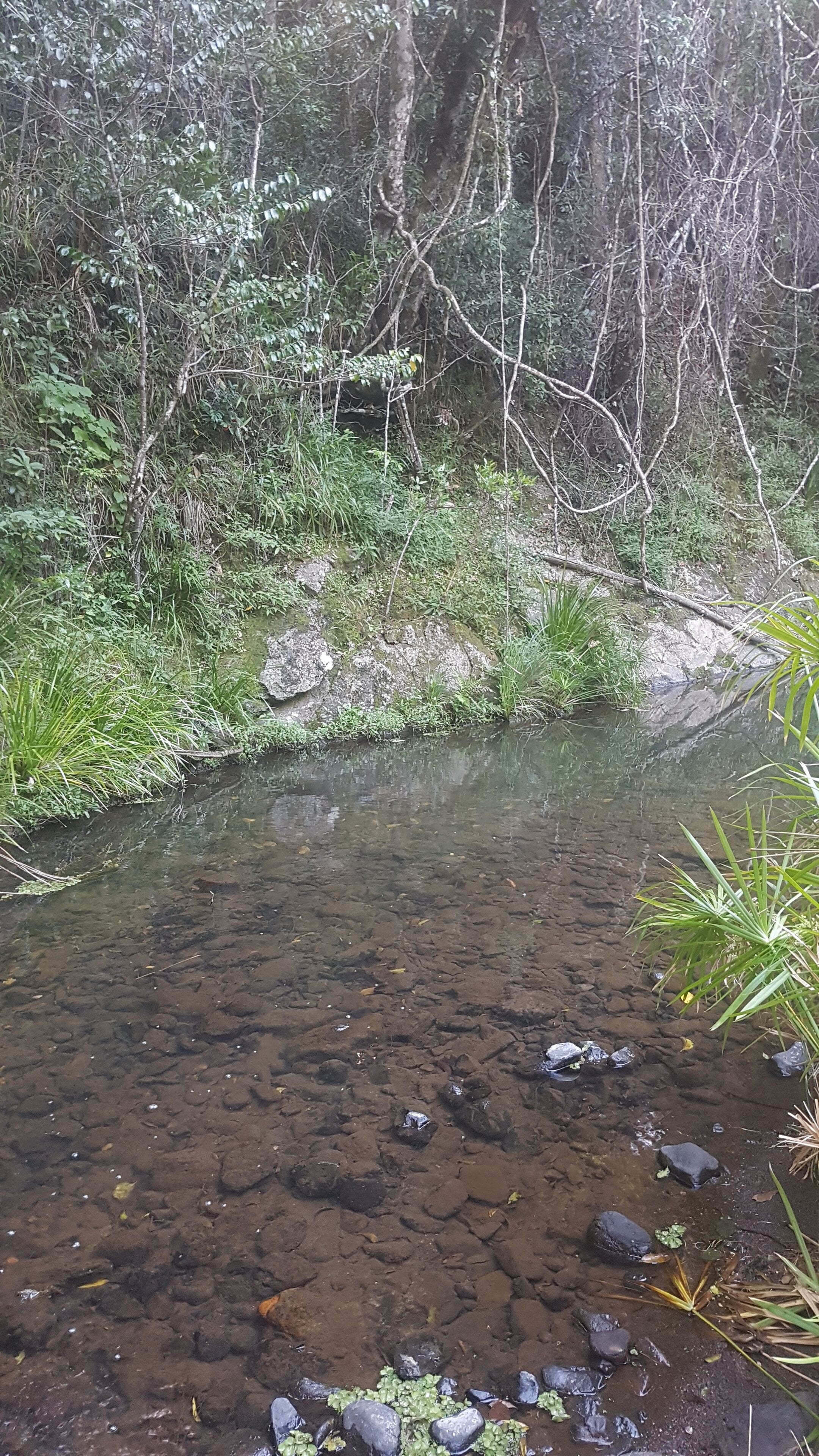 Stary Nights Luxury Camping