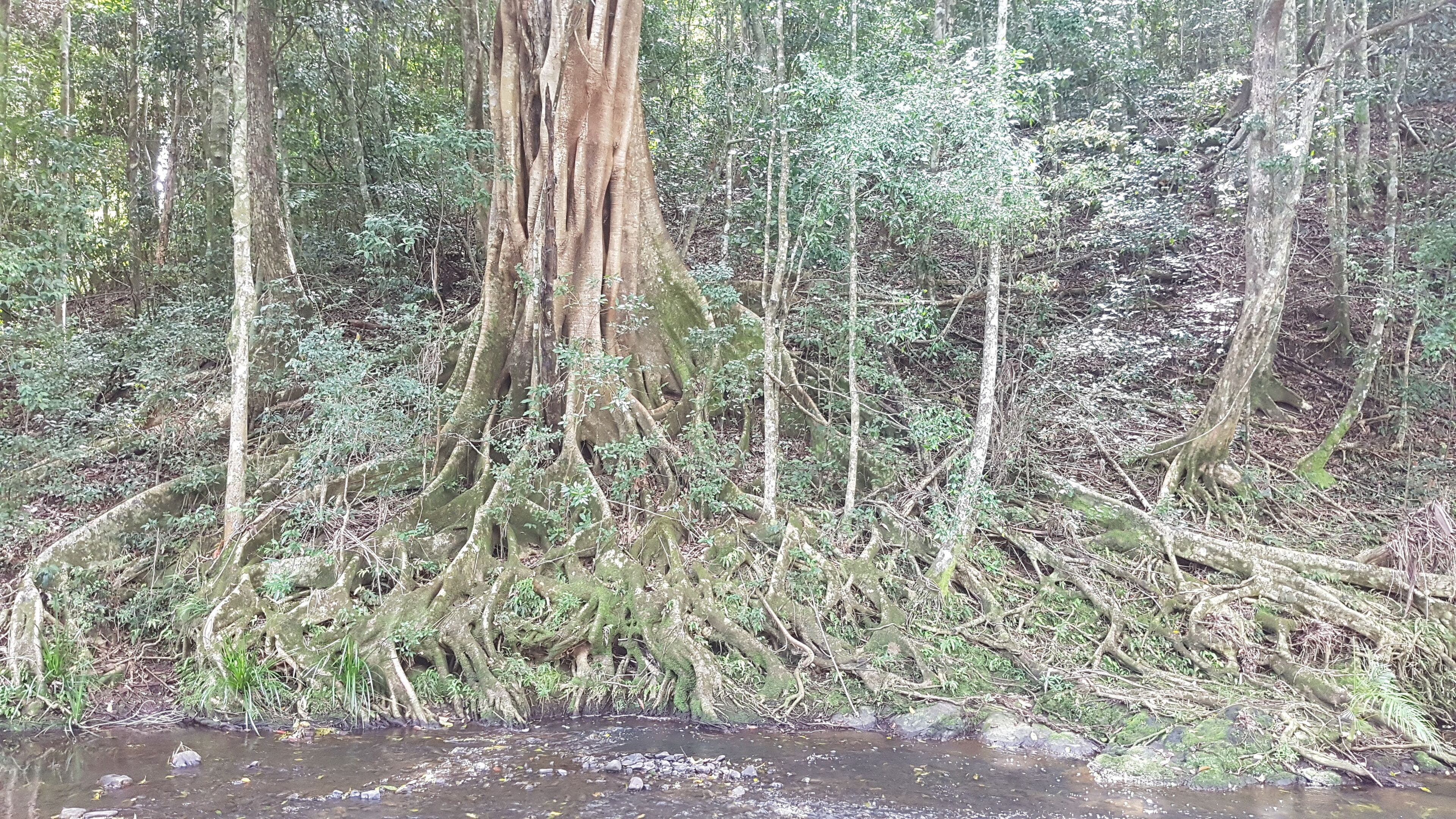 Stary Nights Luxury Camping