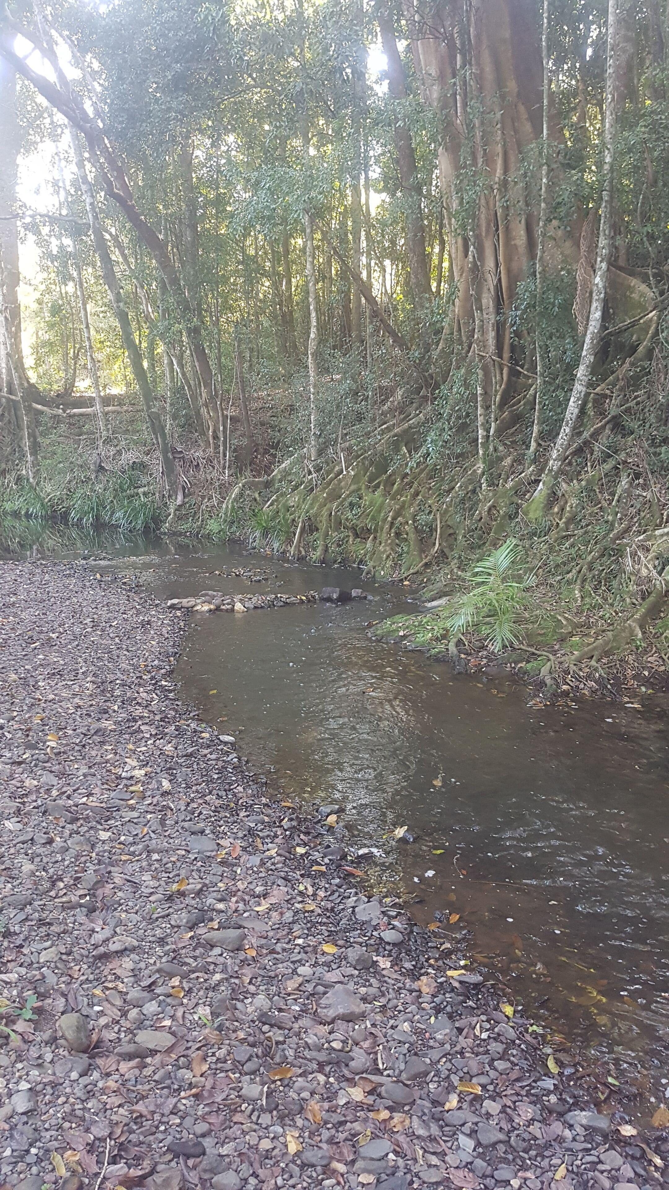 Stary Nights Luxury Camping