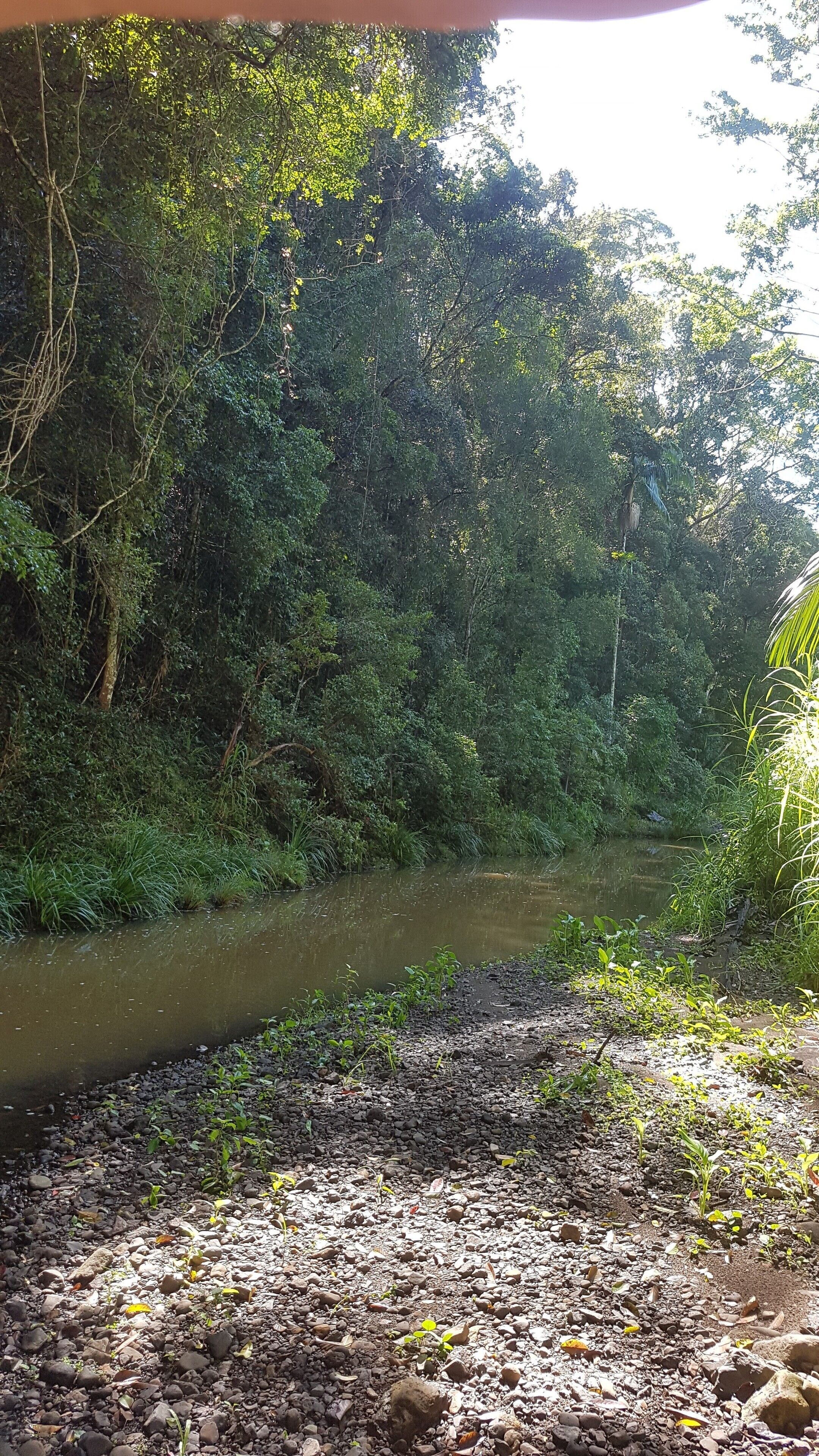 Stary Nights Luxury Camping