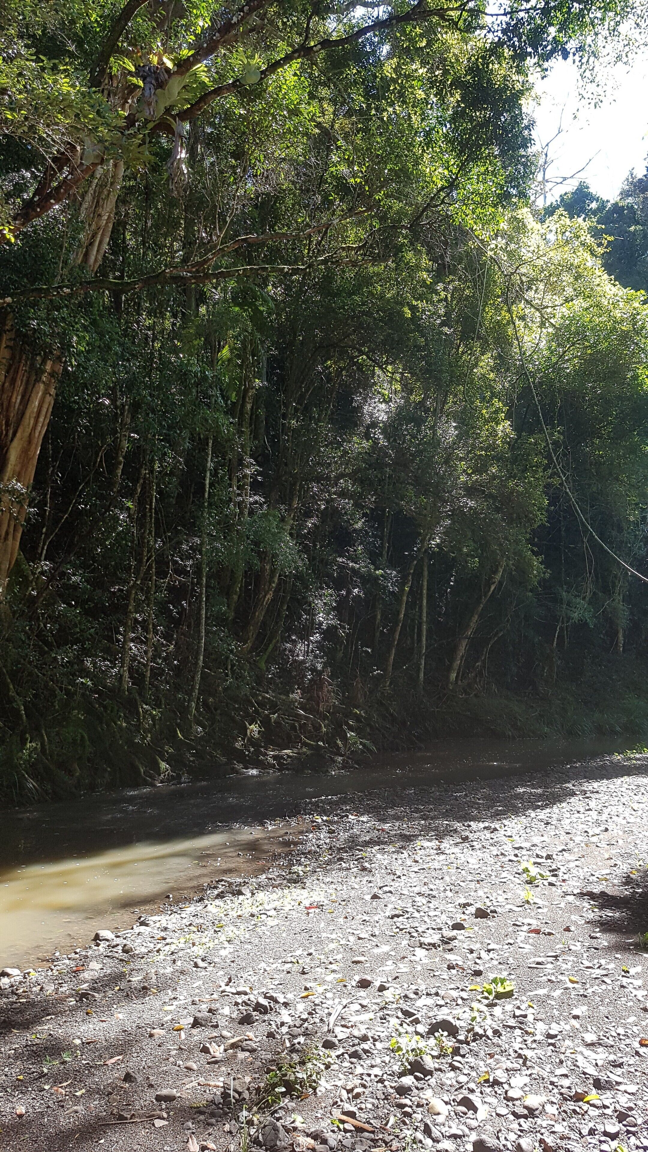 Stary Nights Luxury Camping