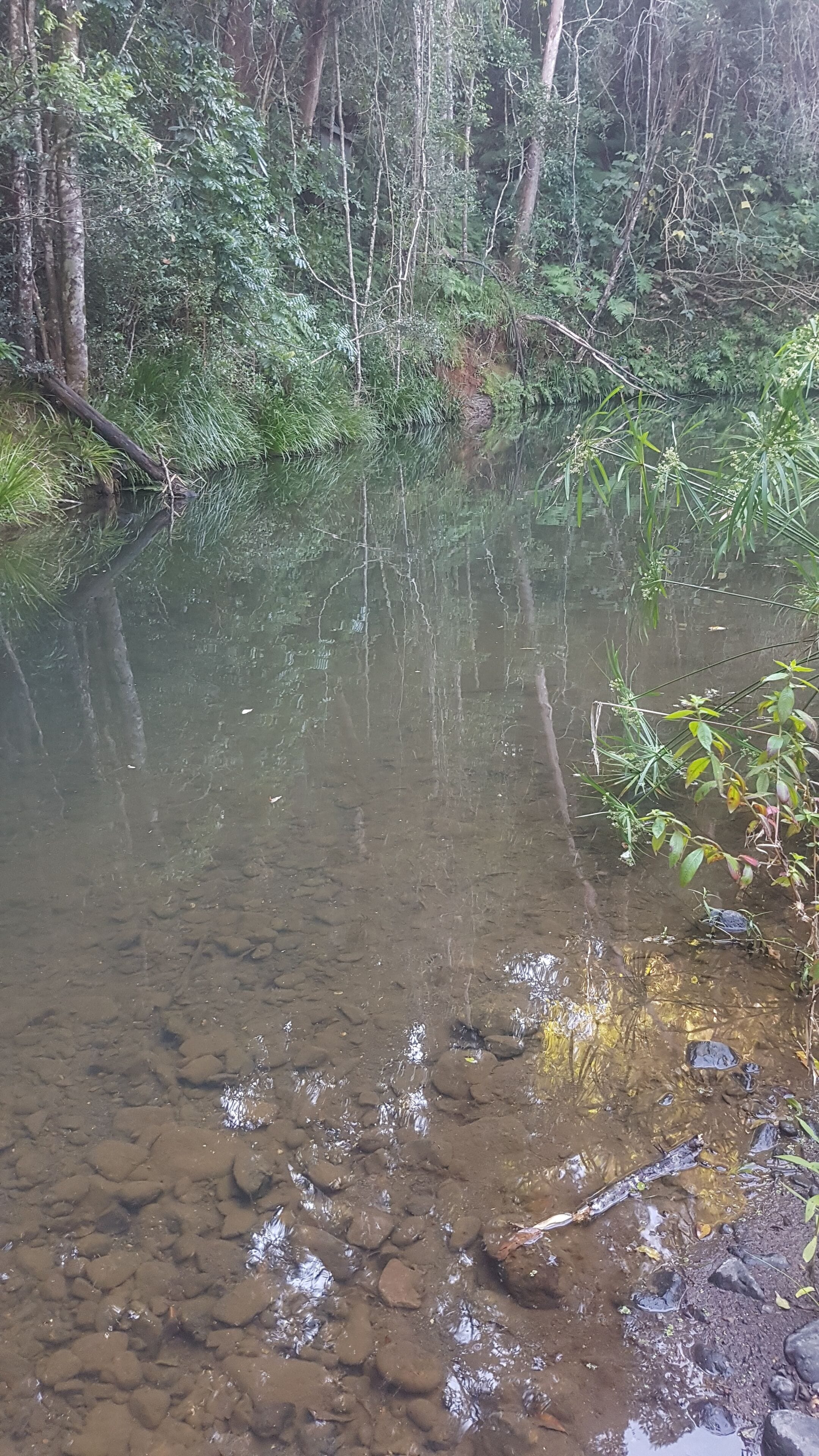 Stary Nights Luxury Camping