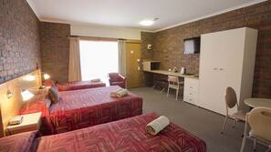 Minibar, iron/ironing board, free WiFi