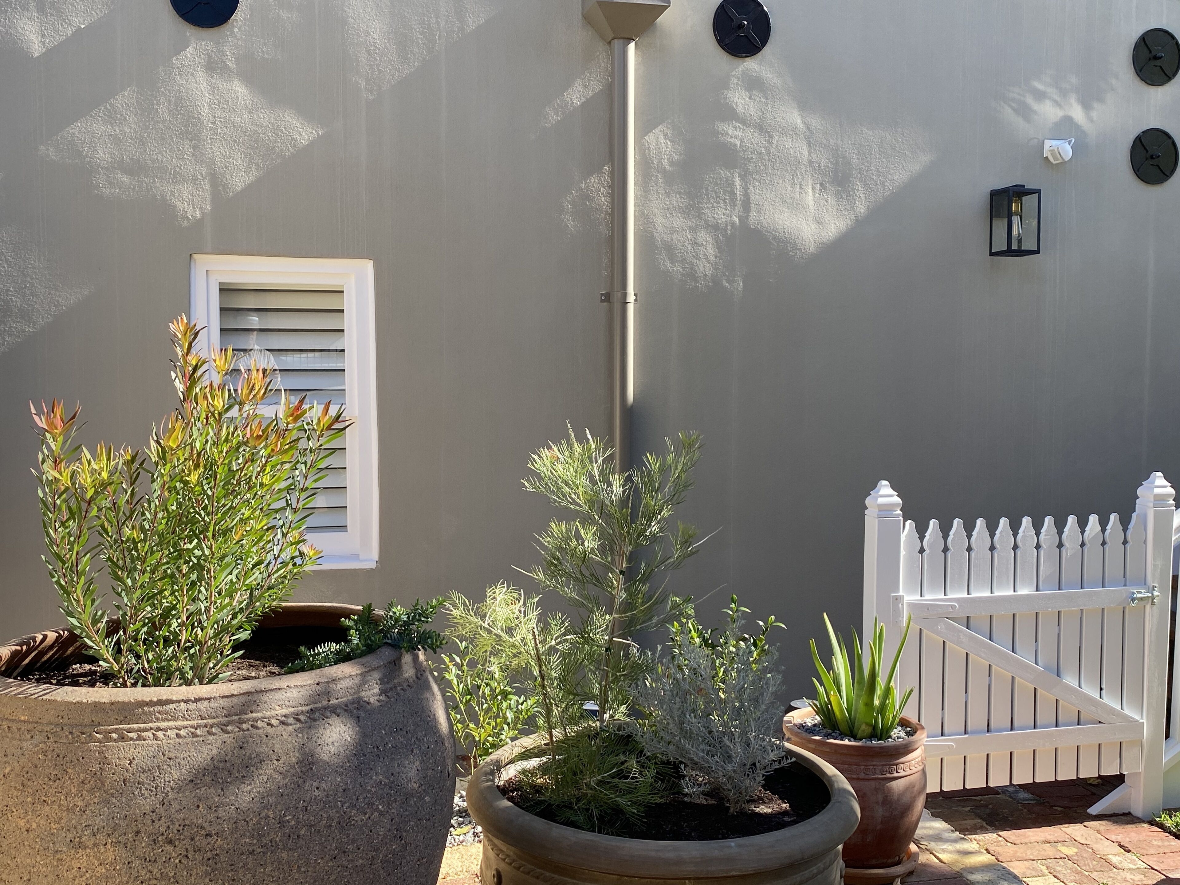 Le Cherche-midi Fremantle Bed & Breakfast