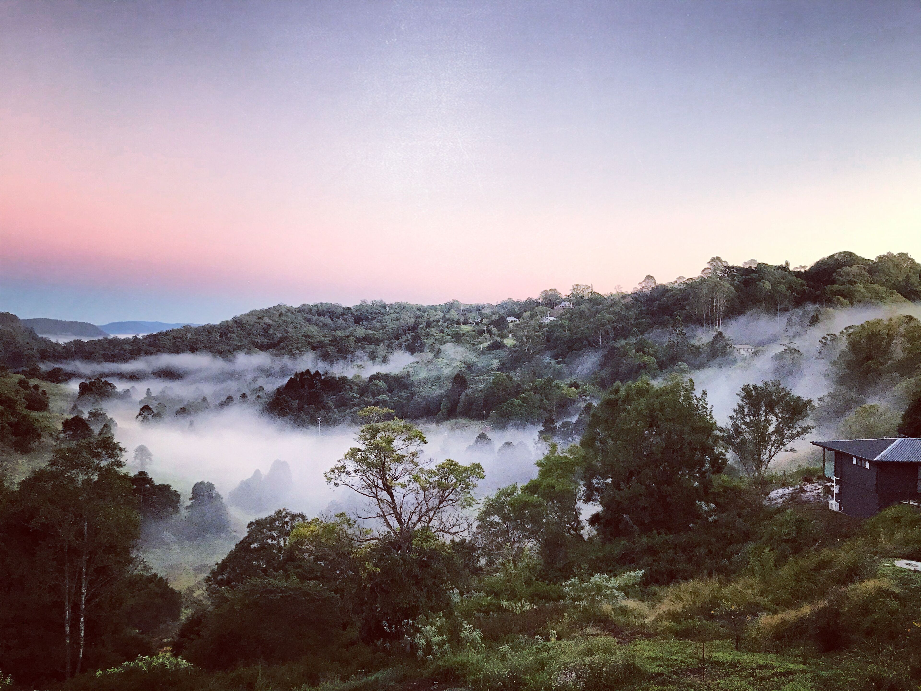 Fletchers Ridge Luxury Cabin, Fireplace, Valley Views, Full Kitchen, Pets Ok!