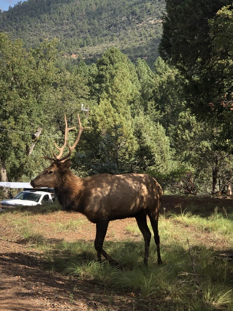 NEW 2+ Acres, Charming Home with a View!