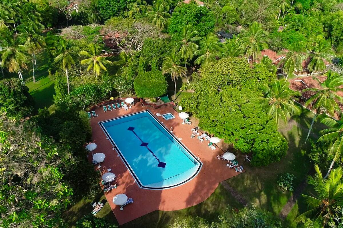 The Tamarind Tree Hotel 21 Room Prices Deals Reviews Expedia Com The Tamarind Tree Hotel 21 Room Prices Deals Reviews Expedia Com