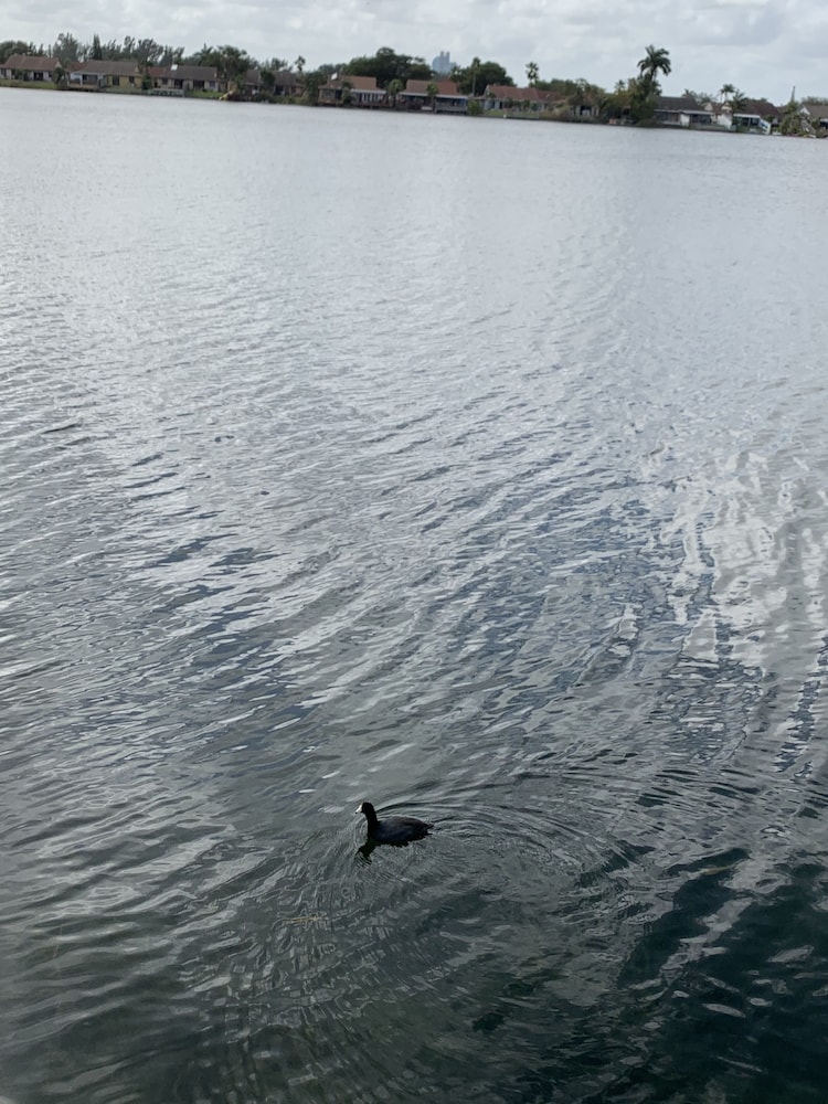 Lake front tiny home- enjoy Florida lifstyle