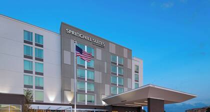 SpringHill Suites by Marriott Dallas Richardson/University Area