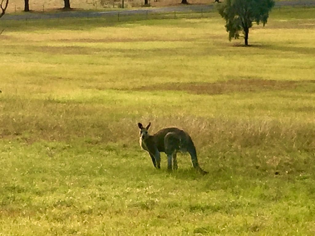 Your Relaxing Rural Escape