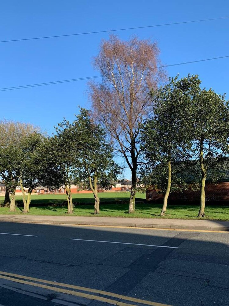 Stylish and Immaculate 2-bed Apartment in Leigh