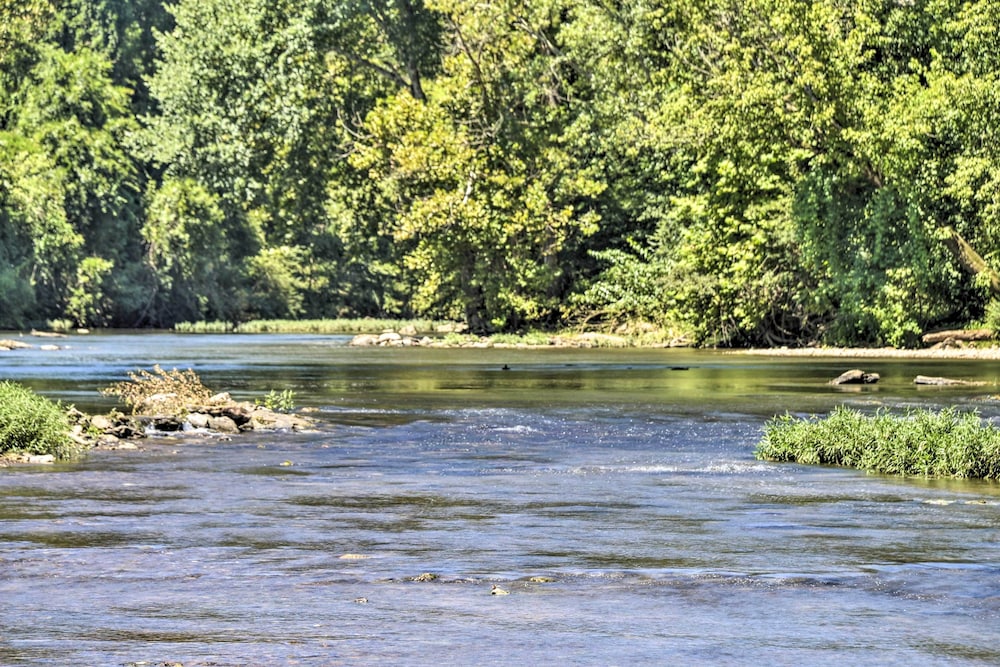 Horse-Friendly Alabama Home-Away-From-Home!