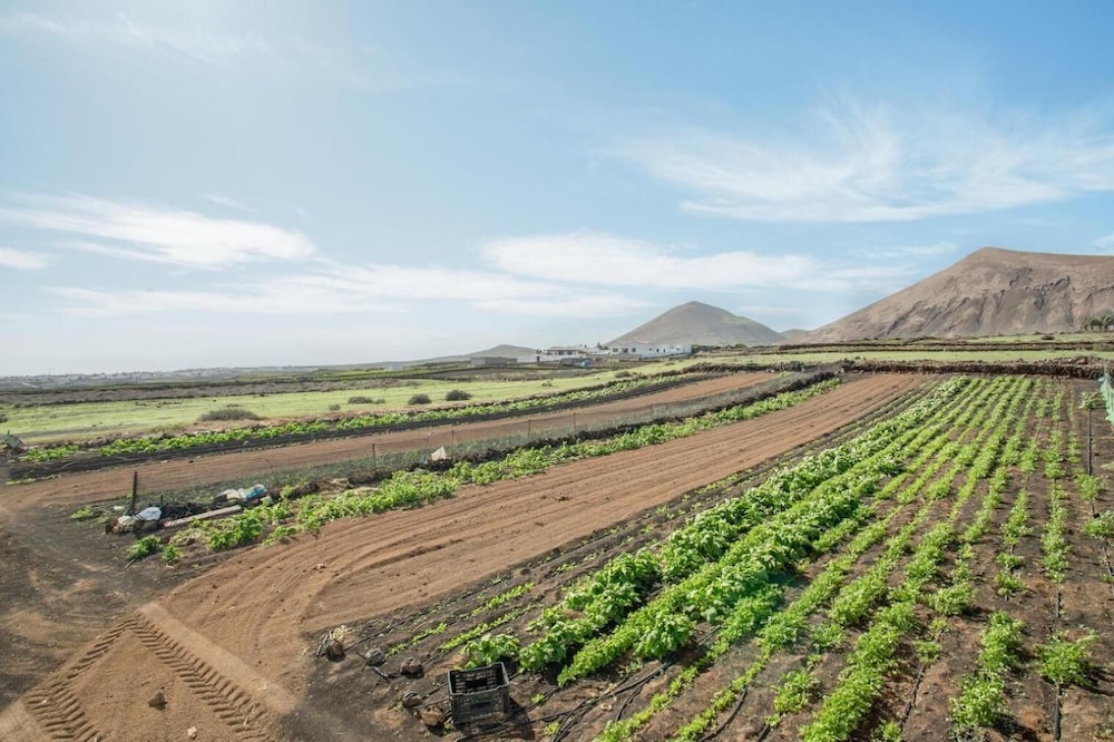 Foto - HOTEL-FINCA Rural José Manuel 28pax