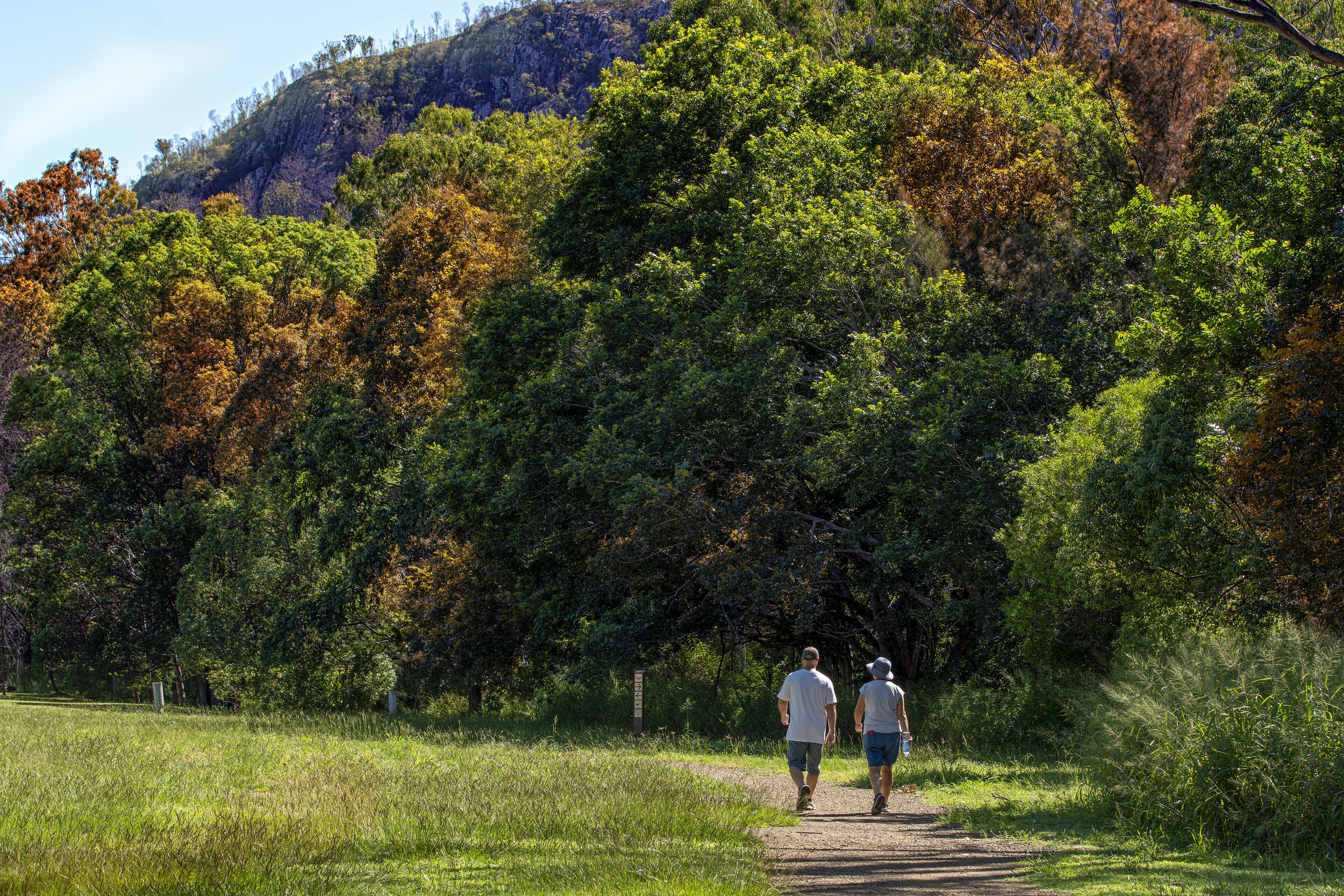 Esk Caravan Park & Motel