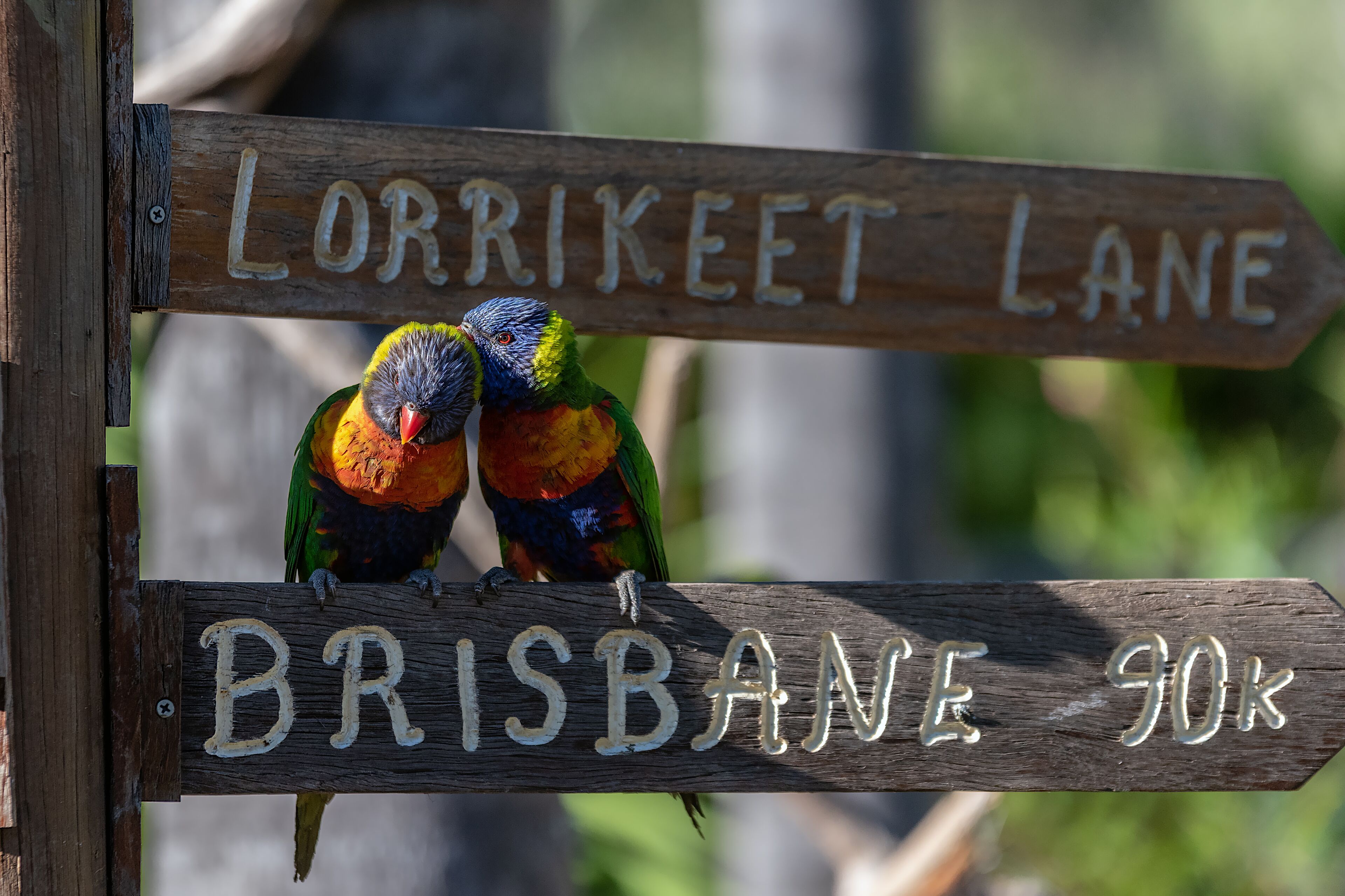 Esk Caravan Park & Motel