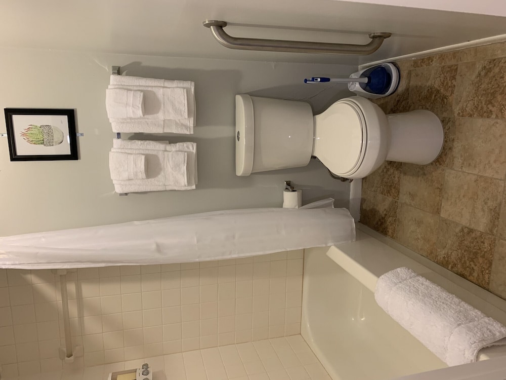 "Zen Oasis"-Private Suite, king bed, kitchenette