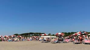 Private beach, sun-loungers, beach umbrellas