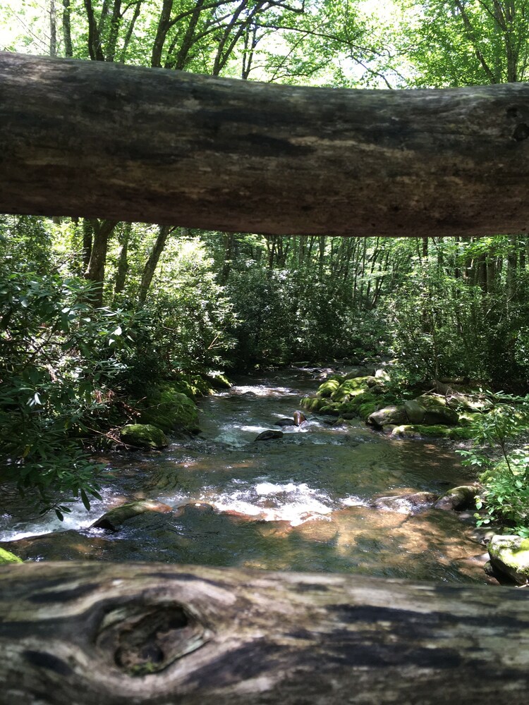 Mountain Views,  Fire Pit, Minutes From Downtown Asheville