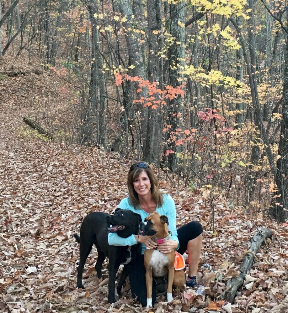 Mountain Views,  Fire Pit, Minutes From Downtown Asheville