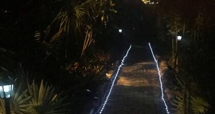 The Secret Garden - The Cottage Near Beach, Shops, Restaurants!