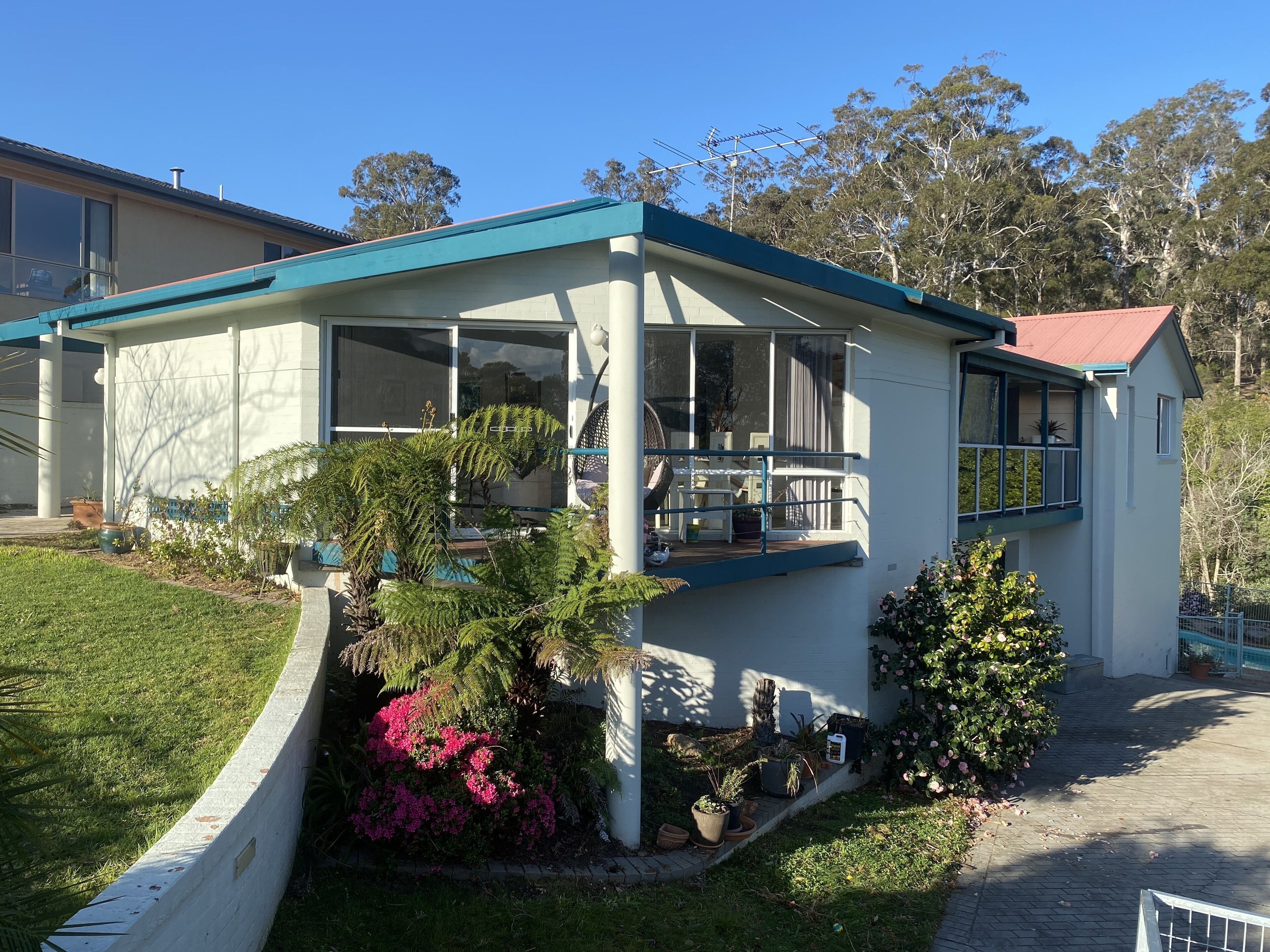 beach house pet friendly