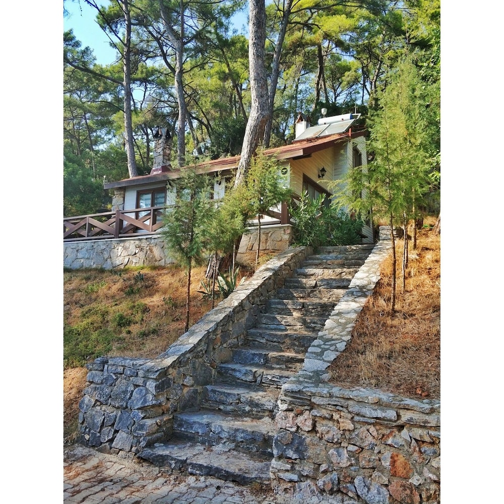 orman kampi tas evleri ula tur best price guarantee lastminute com au