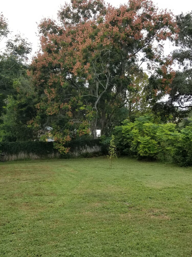 "THE FISHERMAN'S COTTAGE"  Downtown Historic District / 81' Driveway