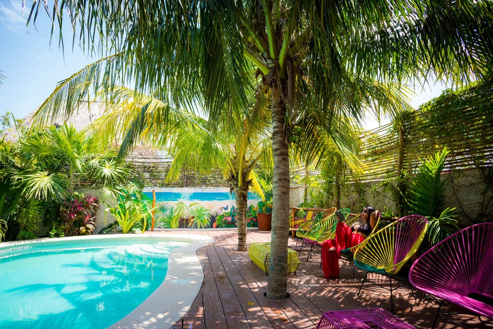 Tropical Suites by MIJ