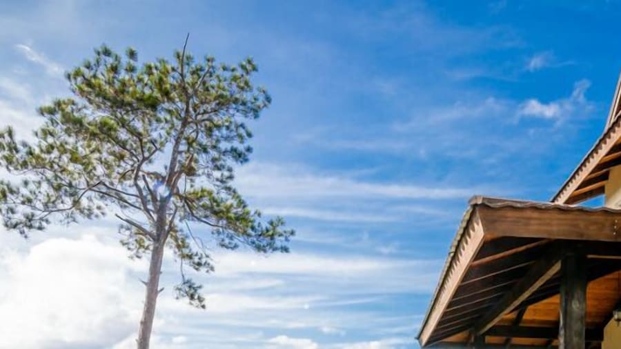 Jarabacoa Villas Ecolodge