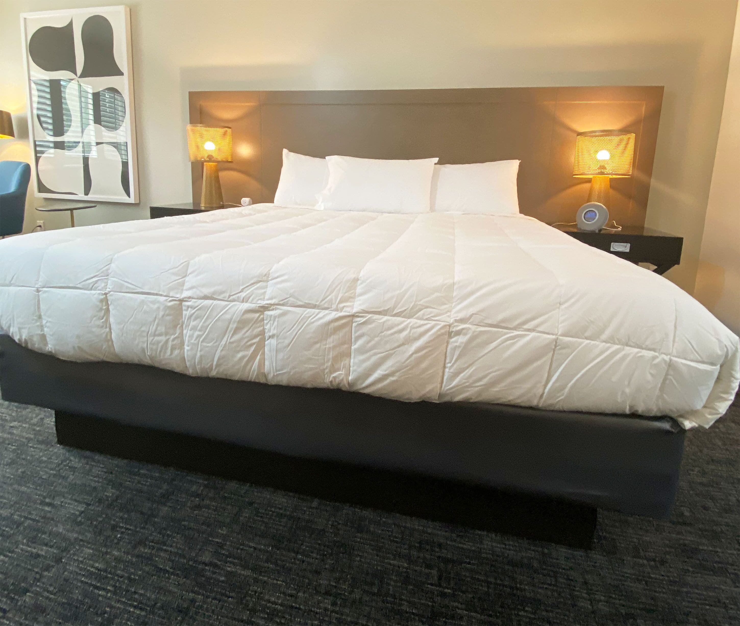 Newly Renovated Hotel With Contactless Check-in in Mountain View, United States