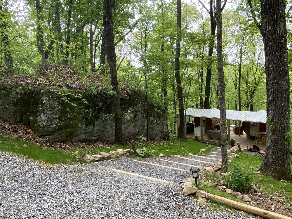 Canopy Treesort - Eco Deck with bubble Dome Panoramic View Cedar Sleep Pods!