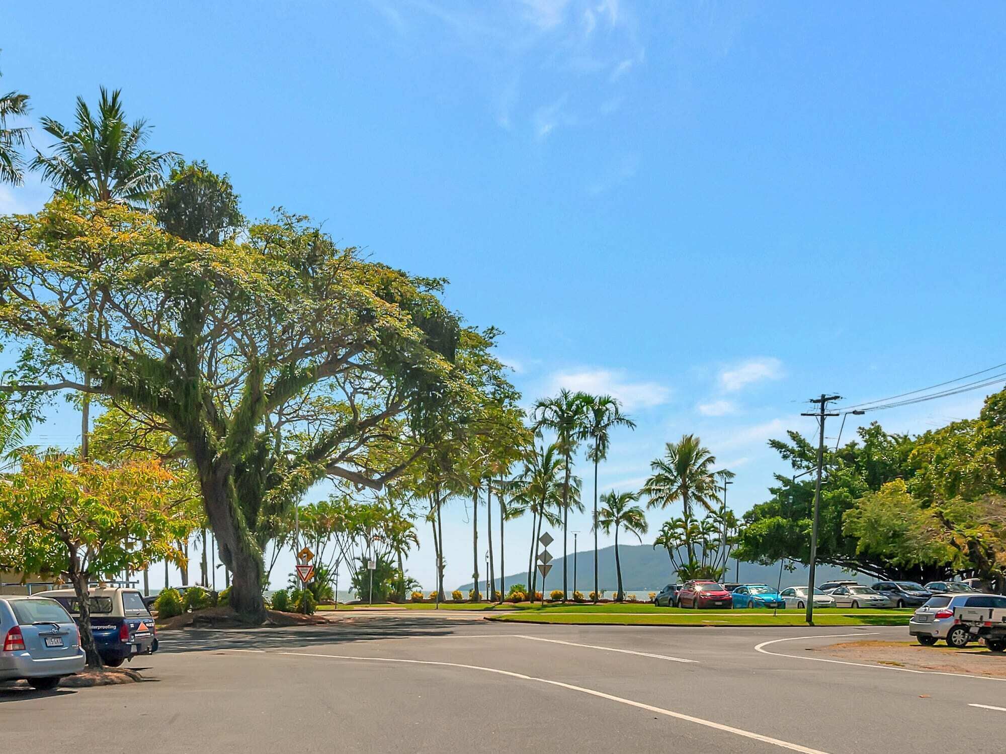 Tropical on Mckenzie MK1