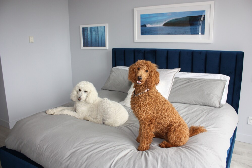 Newly Renovated 2 Bedroom Condo in The Ridge Ucluelet Ucluelet Vrbo